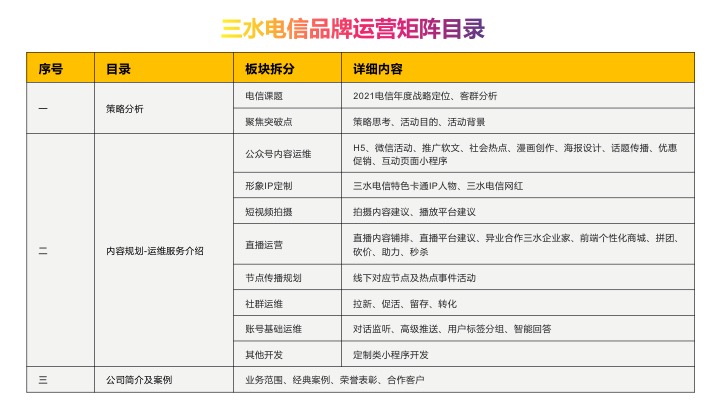 2021年度电信品牌运营矩阵宣传方案 第2页