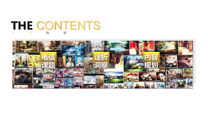 2021年度电信品牌运营矩阵宣传方案 第3页