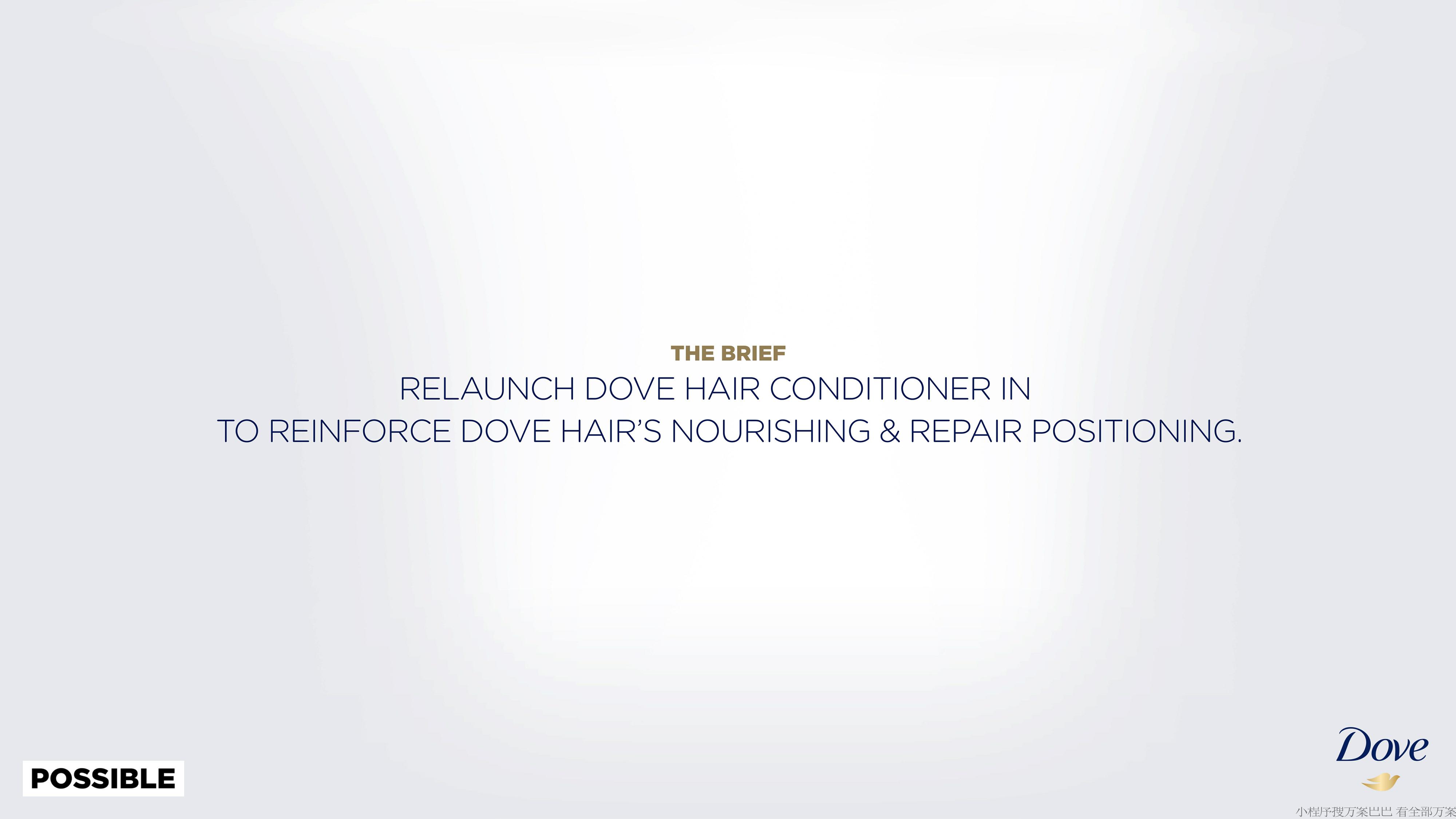 Dove_Hair_PostWash_POSSIBLE_Proposal【英文】 第2页