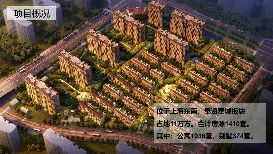 绿地小米的逆袭项目推广方案 第2页