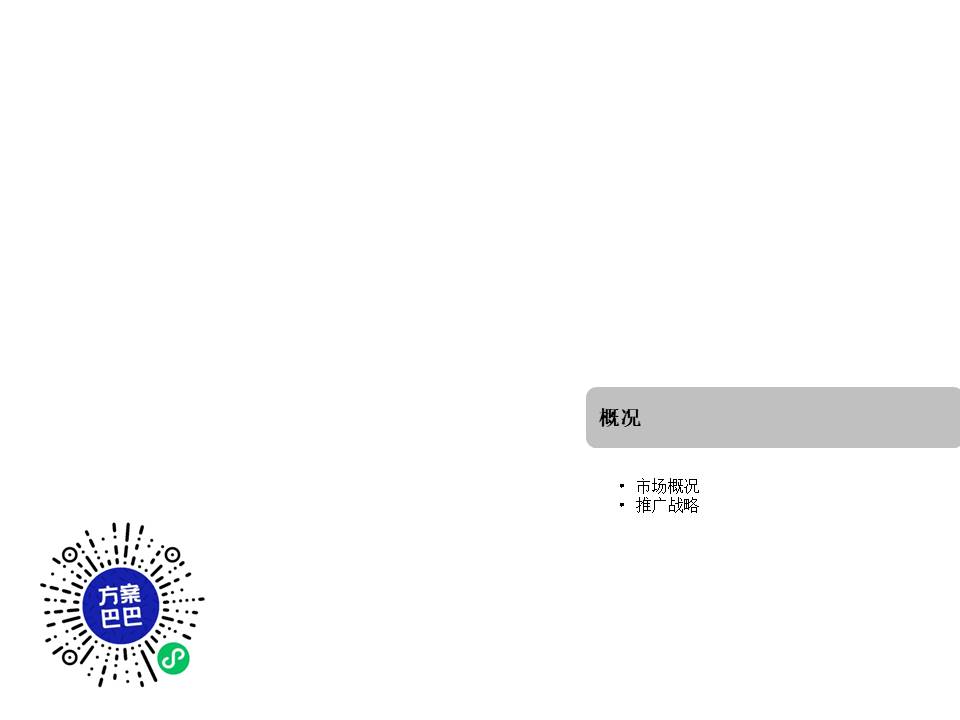 谜尚微博微信运营方案 第3页