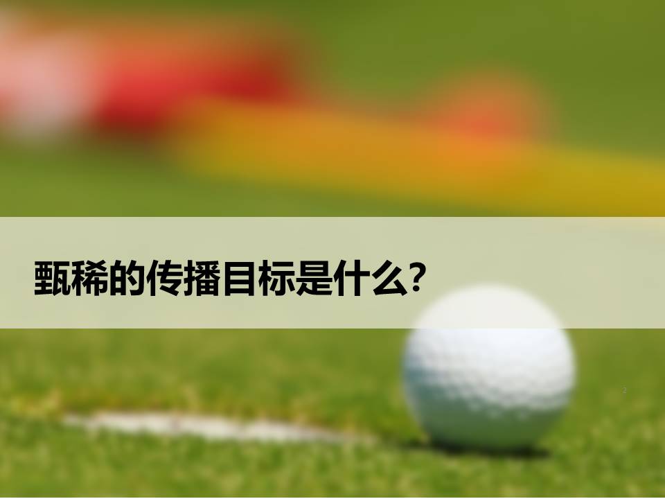 甄稀年度媒介策略方案 第2页
