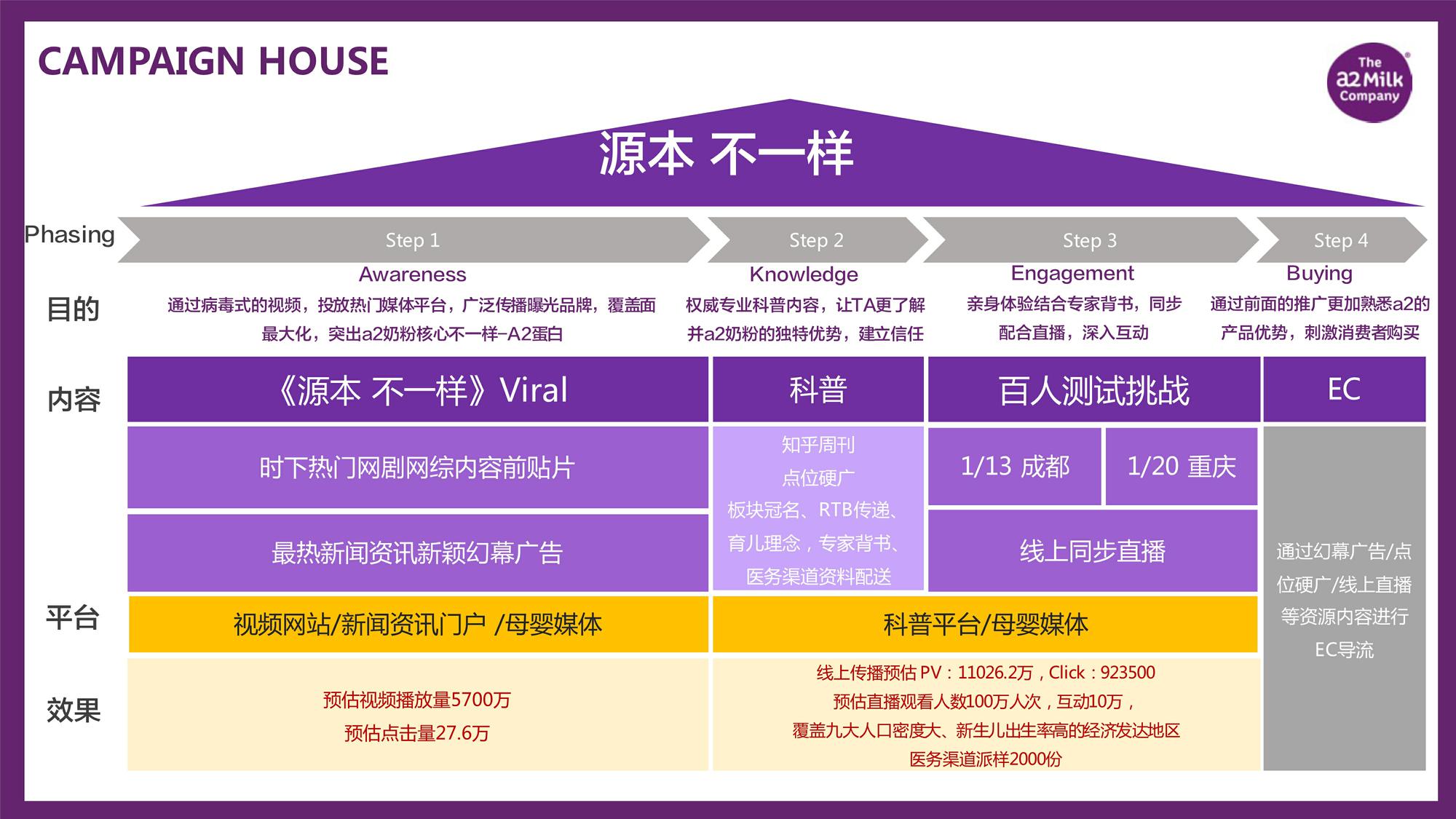 a2 digital campaign Execution plan【母婴】【英文】 第2页