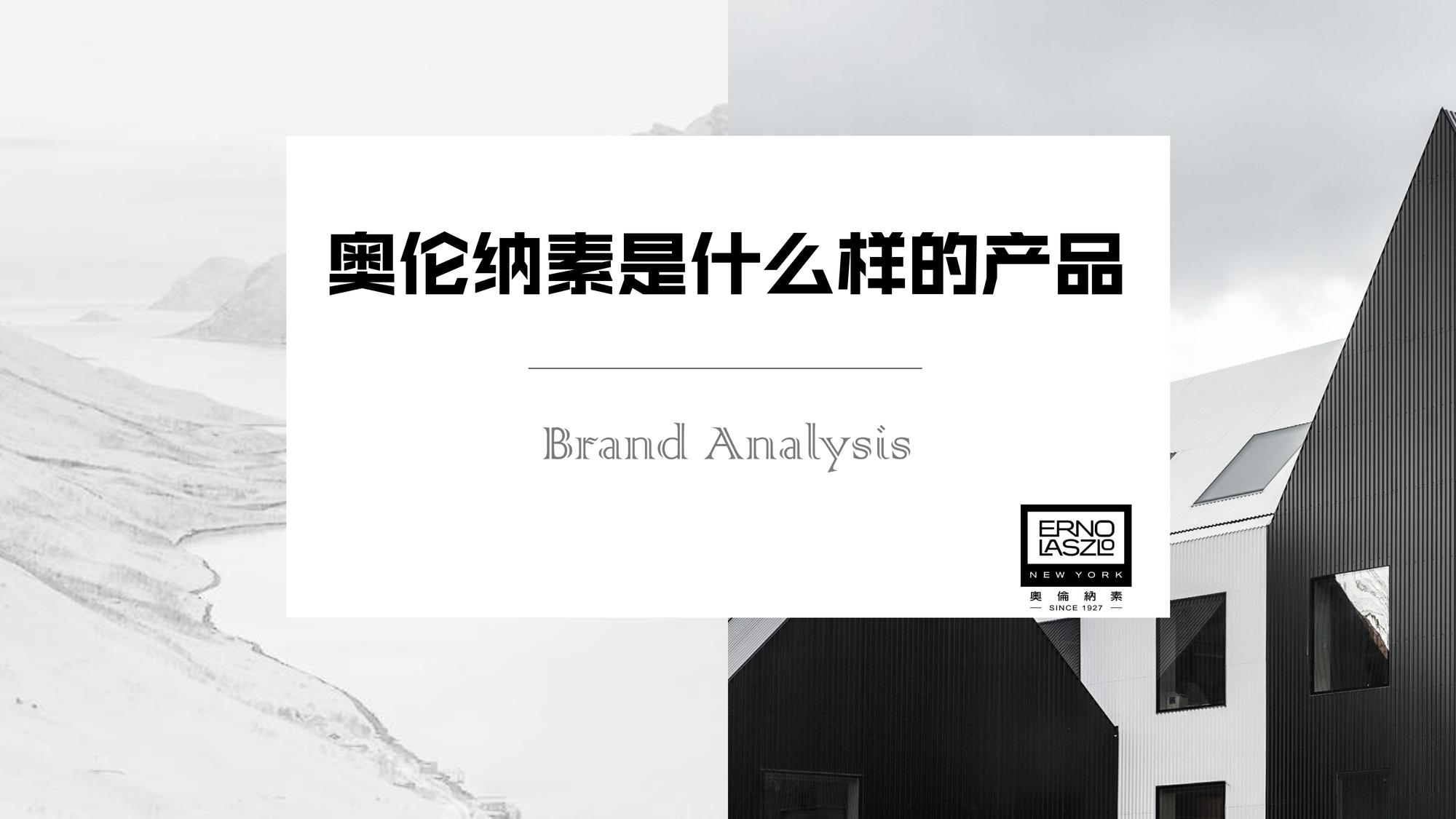 奥伦纳素ENRO LASZLO CN品牌宣传策划案 第2页