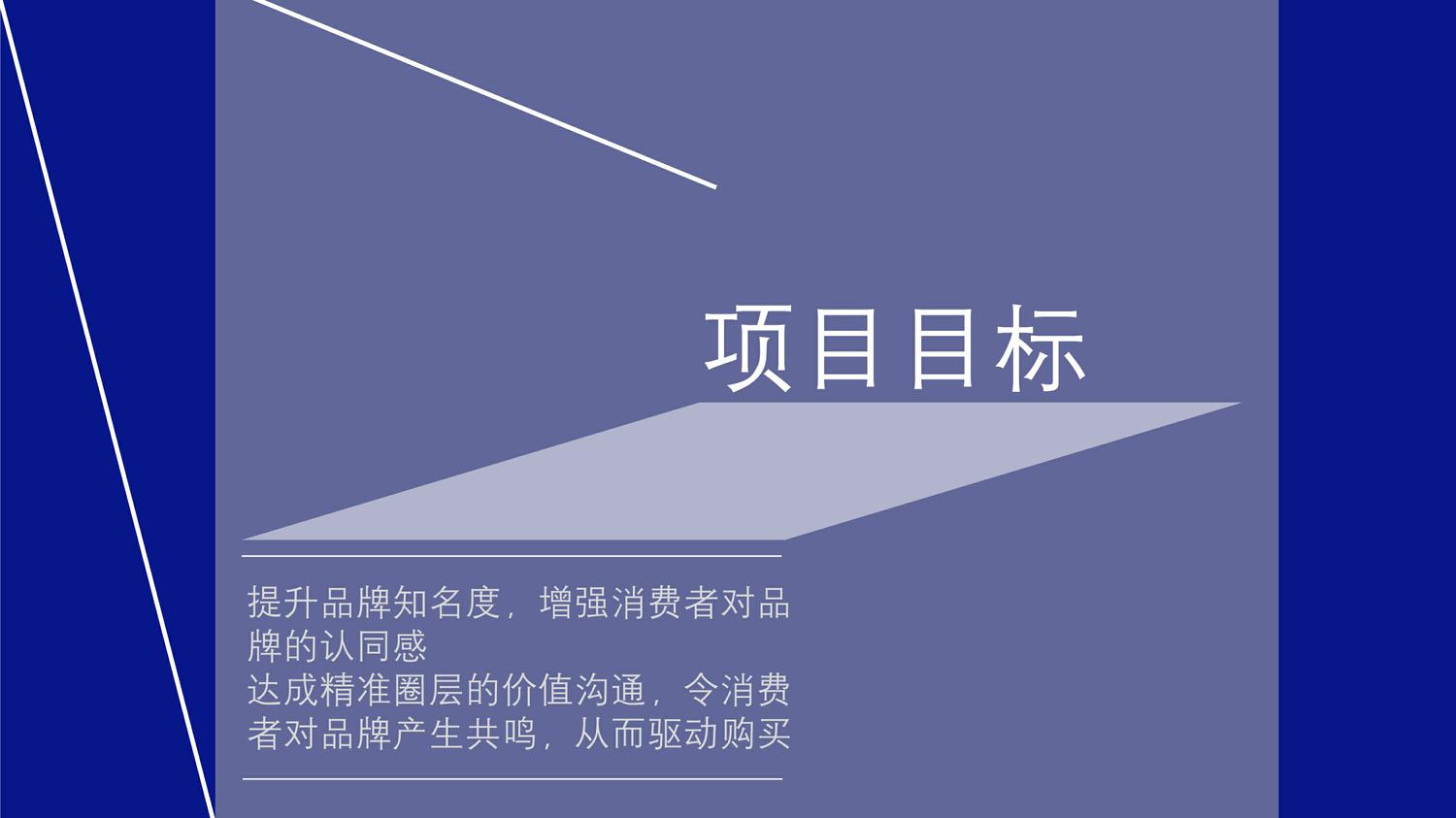 Tempo 得宝年度营销方案 第2页