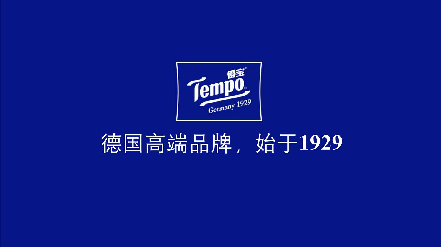 Tempo 得宝年度营销方案 第3页