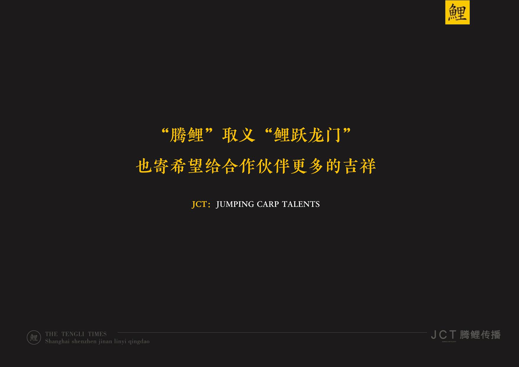 JCT腾鲤传播-奥德城投品牌提案 第2页