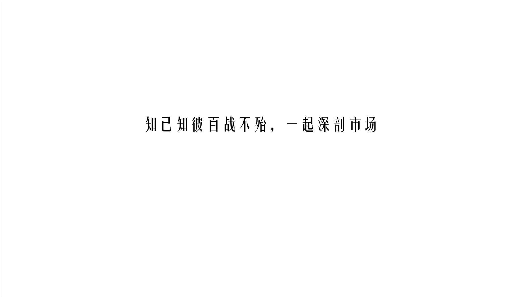 滇藏酒店品牌创意案 第3页