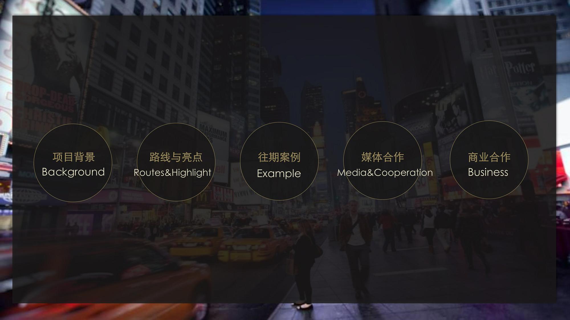 胡兵全球GO项目计划项目-招商方案 第3页
