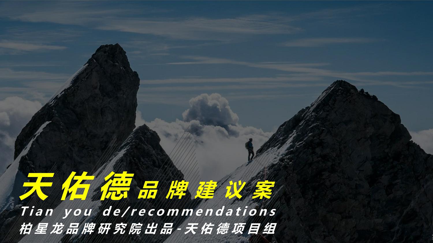 天佑德品牌建议方案-副本 第2页