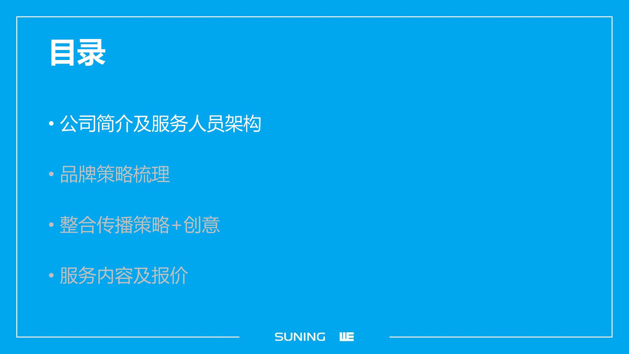 苏宁HR品牌整合传播方案-4A威汉【整合营销】【全案】 第3页