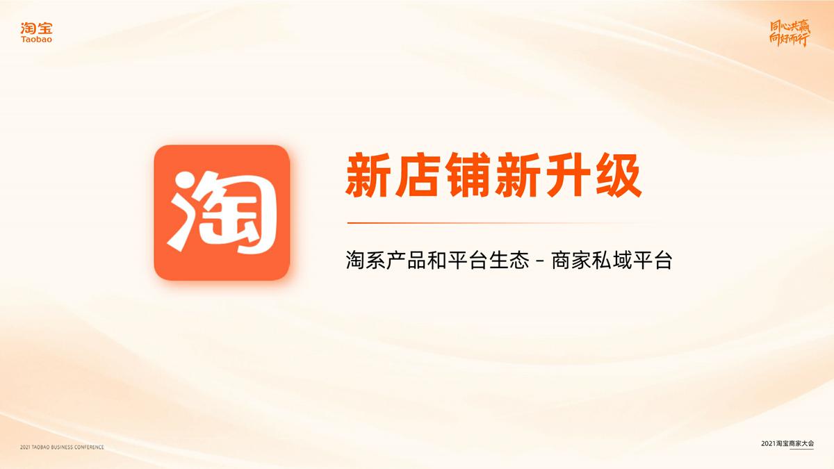 2021年淘宝商家私域双11备战指南【双十一】【淘宝】 第3页
