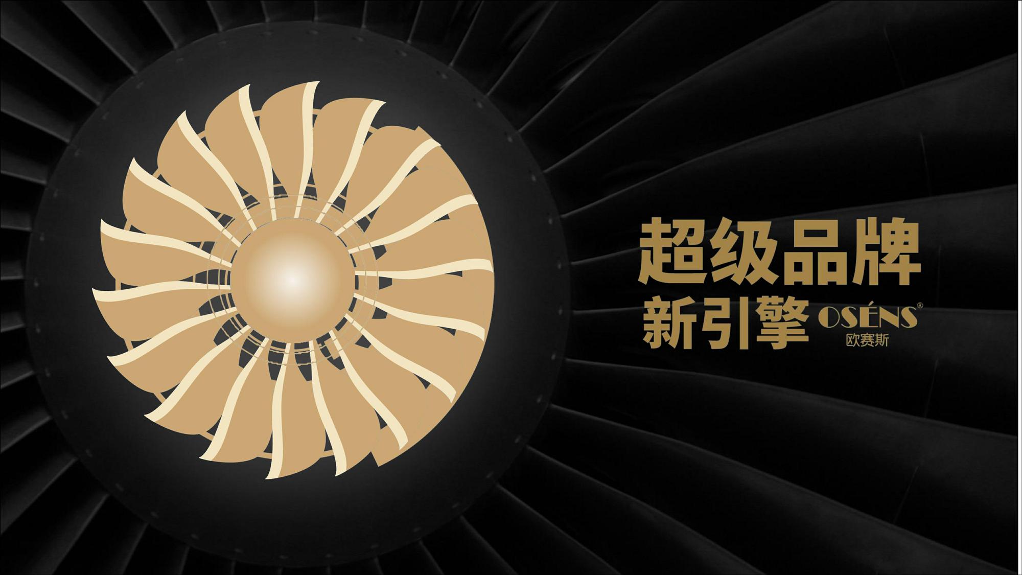 乐力数字营销策略【保健品】【种草】【品牌营销】【社交营销】 第2页