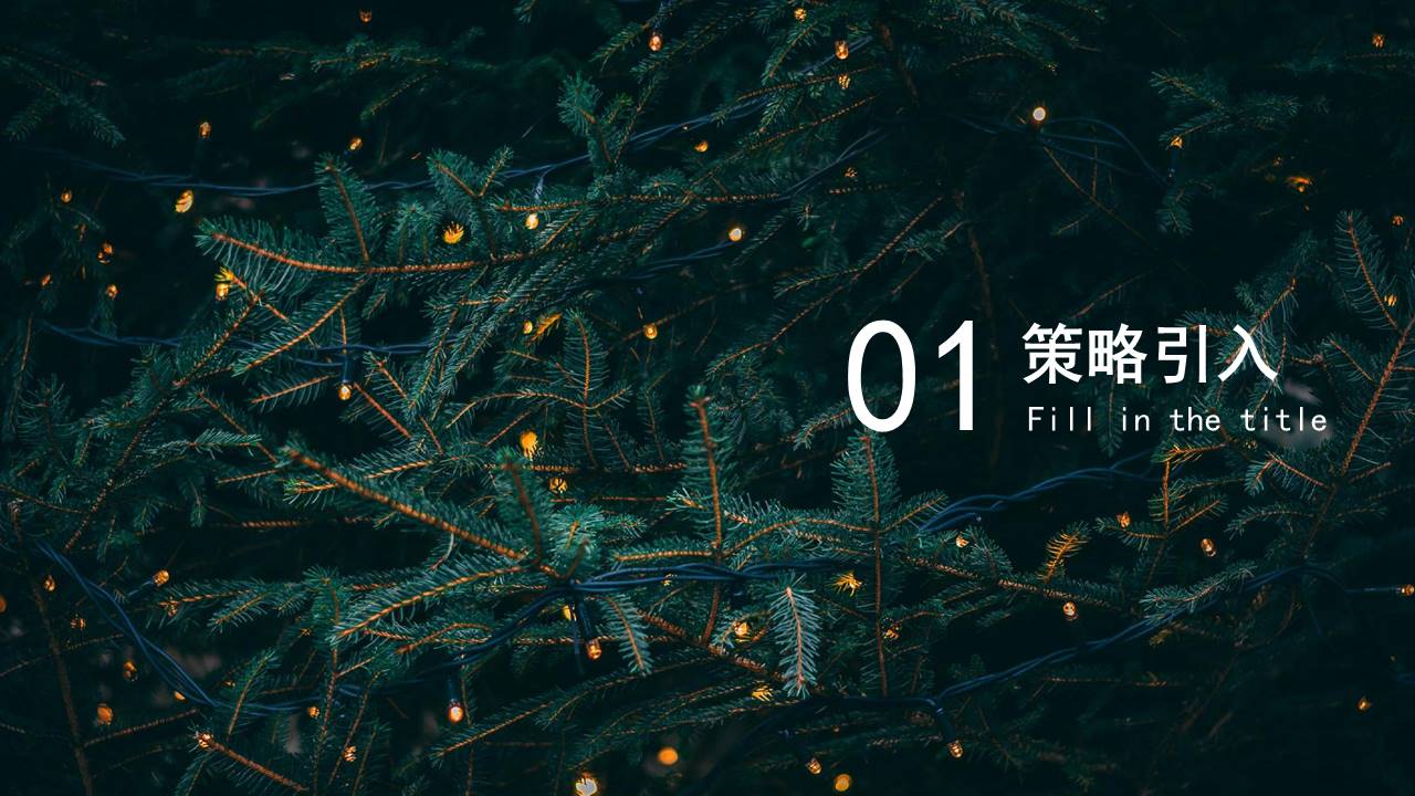2020购物中心圣诞季营销&ldquo;重大圣诞节&rdquo;活动策划方案【圣诞节】 第3页