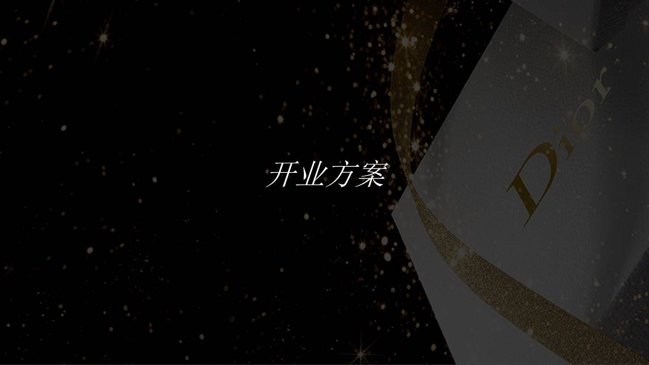 Dior官方旗舰店整合营销方案-创意部分 第2页