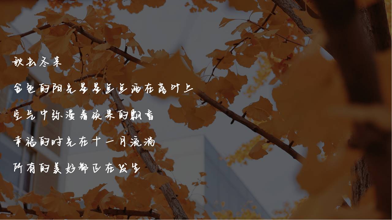 2021地产项目万象秋冬主题月&ldquo;美好秋冬 如你所见&rdquo;活动策划方案【秋季活动】 第3页
