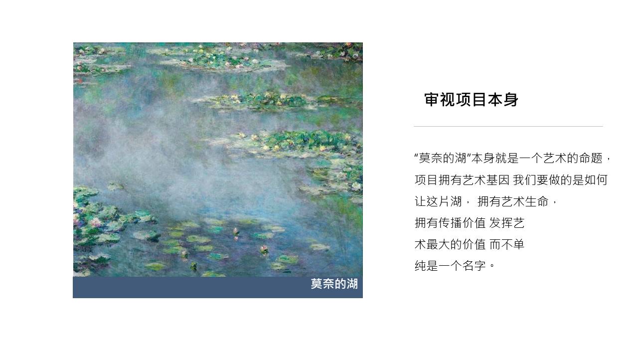 莫奈的湖线上营销炒作方案 第3页