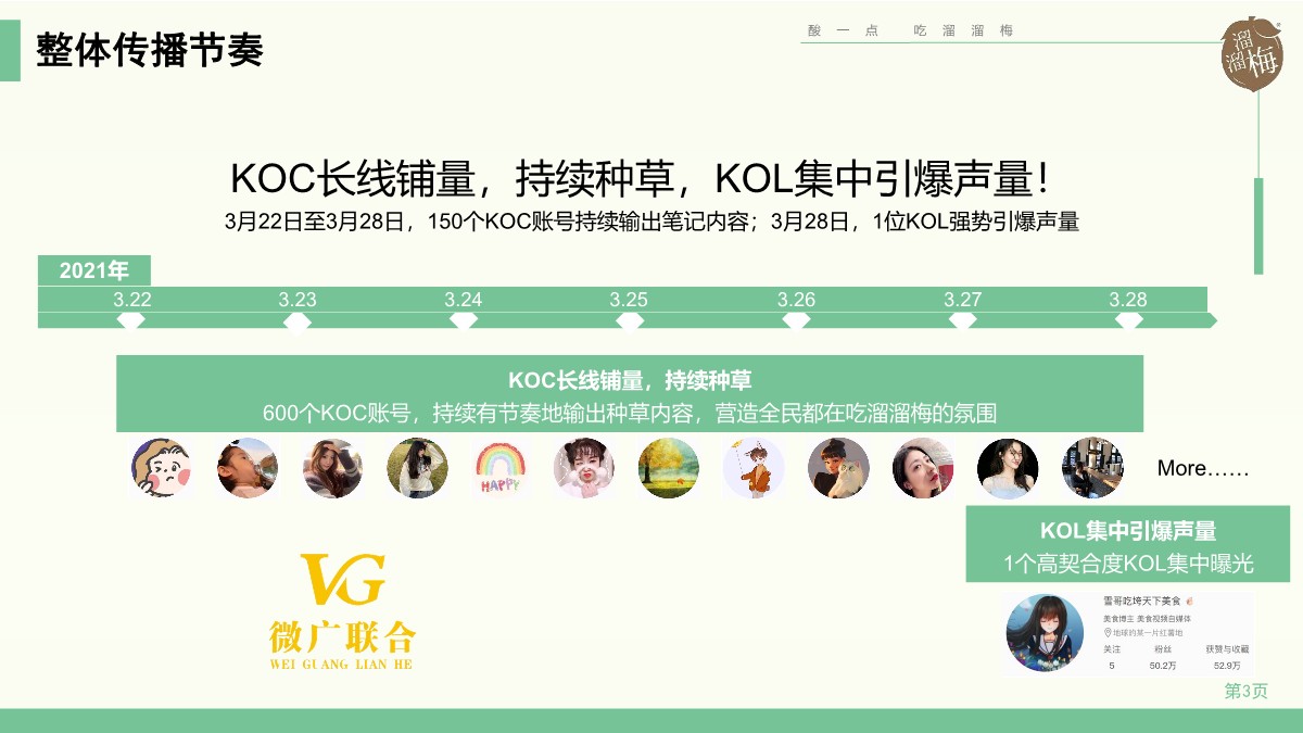 2021溜溜梅小红书KOL+KOC投放结案【种草带货】【社交媒体营销】【快消零售】 第3页