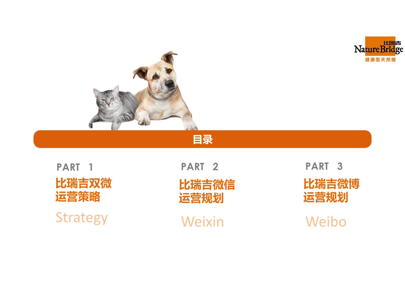 比瑞吉双微运营方案【两微一抖】【微信公众号】【微博】 第2页