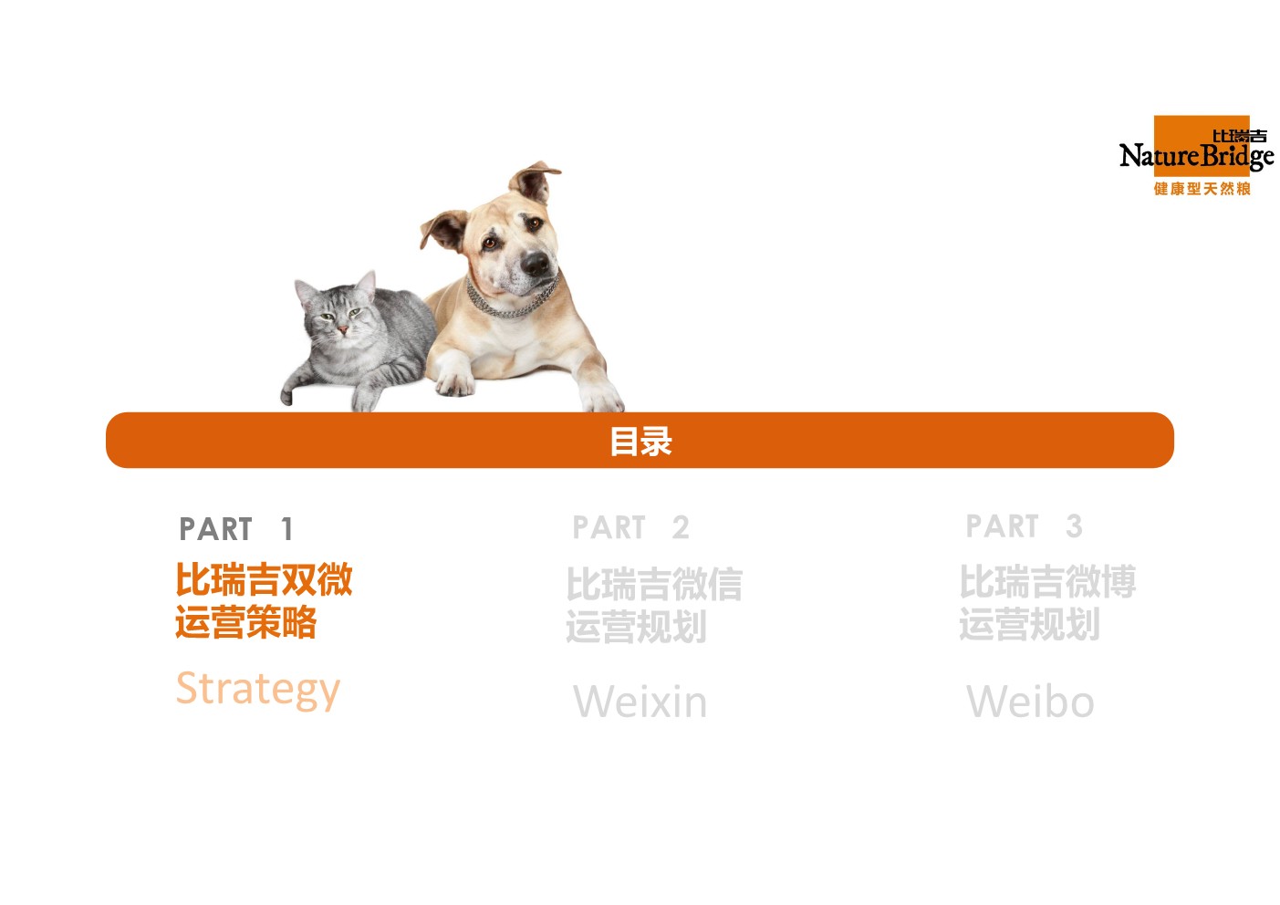 比瑞吉双微运营方案【两微一抖】【微信公众号】【微博】 第3页