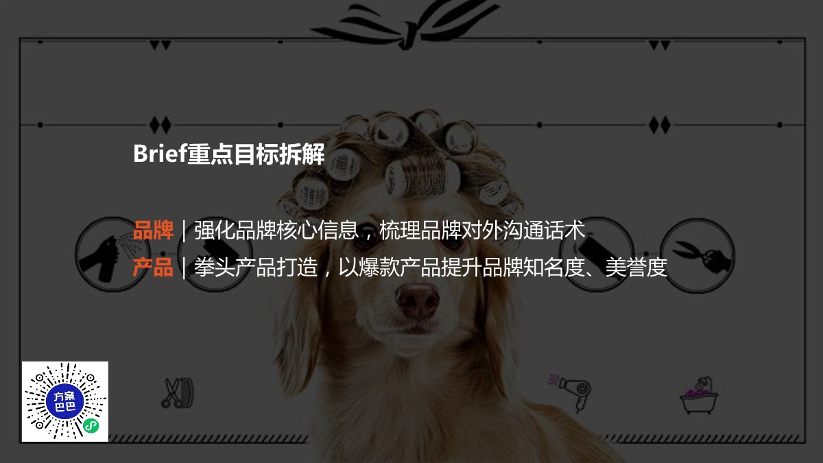 比瑞吉整合营销传播方案【种草带货】【社交媒体营销】【宠物食品】 第3页