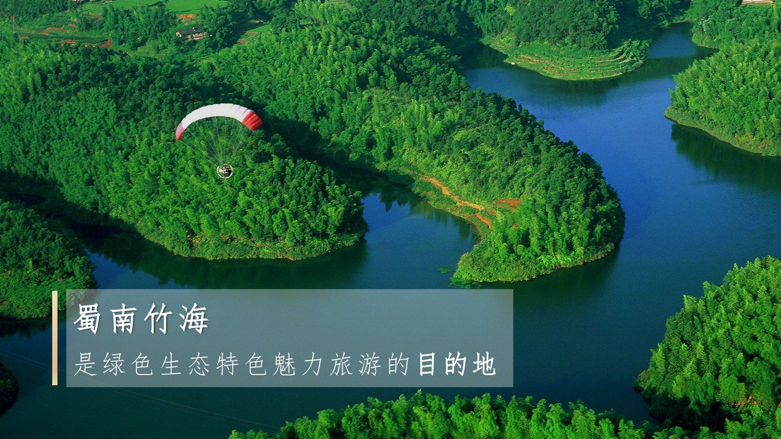 2021竹笋饼干&middot;之竹品牌策略全案【品牌全案】【品牌定位】【传播策略】【社交媒体营销】【种草带货】 第3页