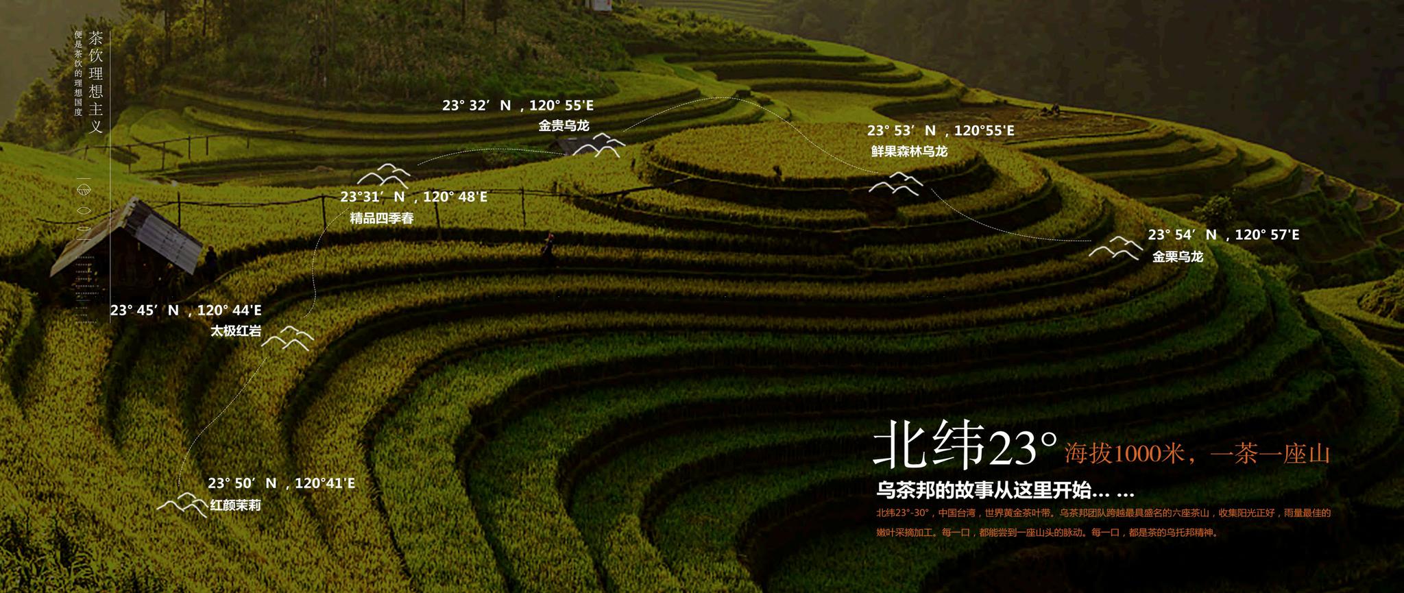 乌茶邦商务画册【餐饮】【品牌手册】【品牌定位】【招商加盟】 第2页