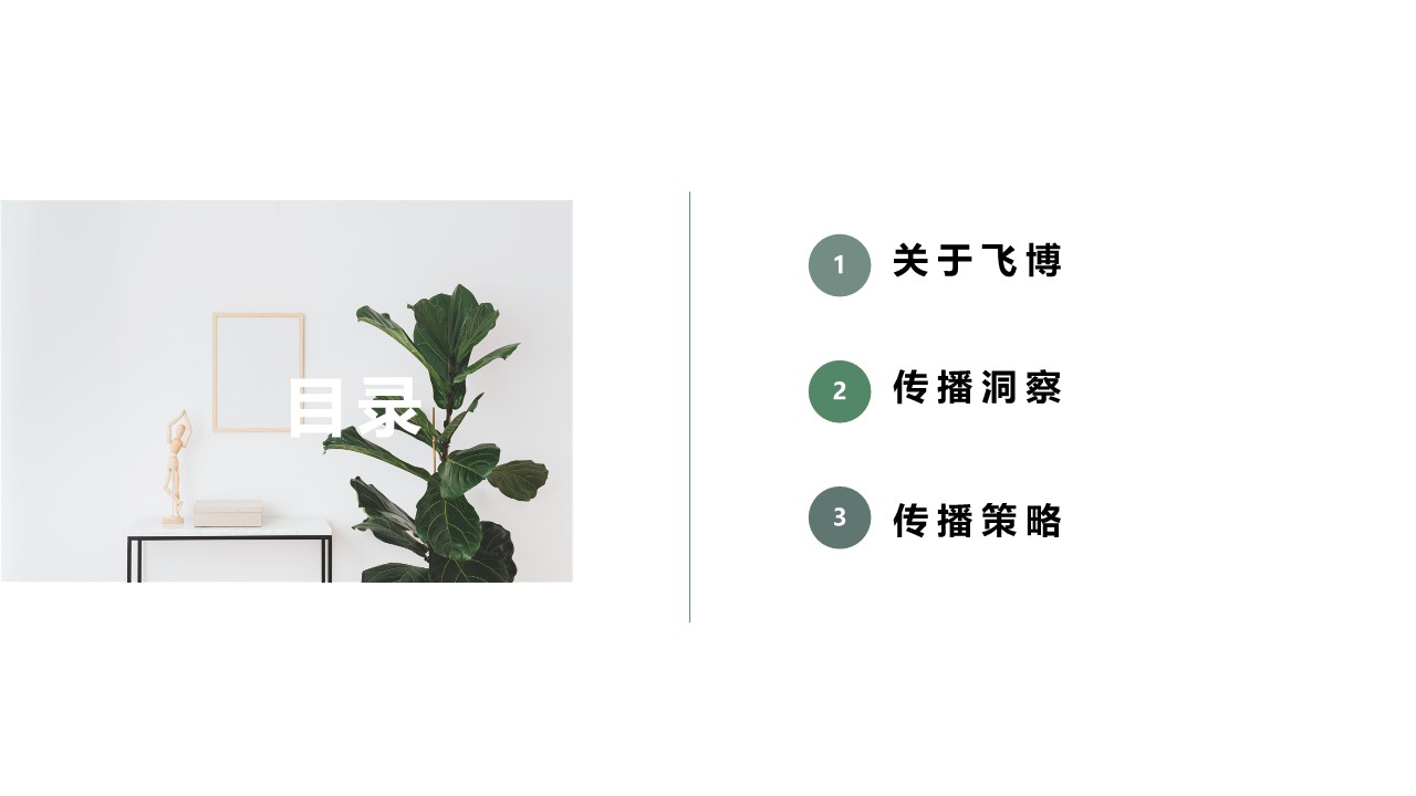 羽森VSEEN祛痘修护精华液小红书种草方案【美妆护肤】【种草带货】【社交媒体营销】 第2页