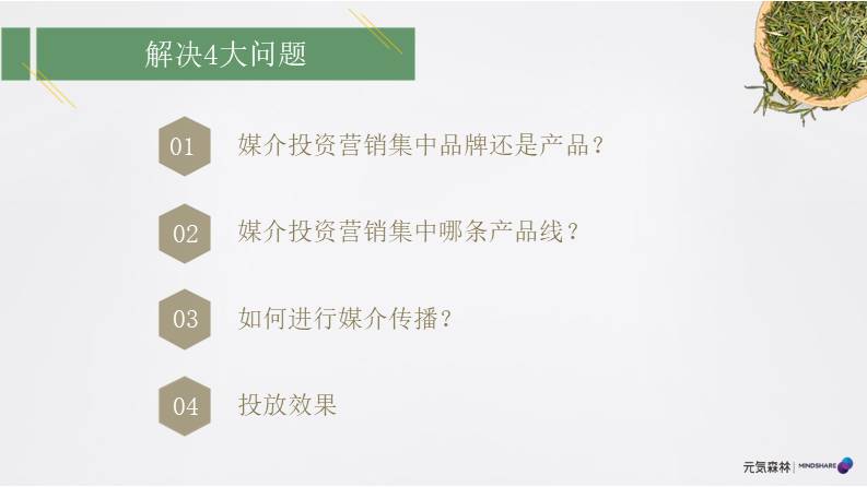 元气森林森林媒介投资规划【食品饮料】【社交媒体传播】【种草带货】 第2页