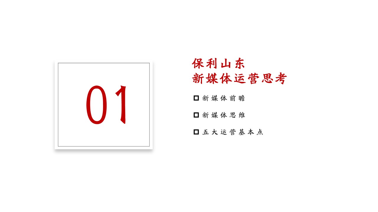 2021保利山东抖音运营全案【抖音运营】【两微一抖】【短视频】【地产】 第3页