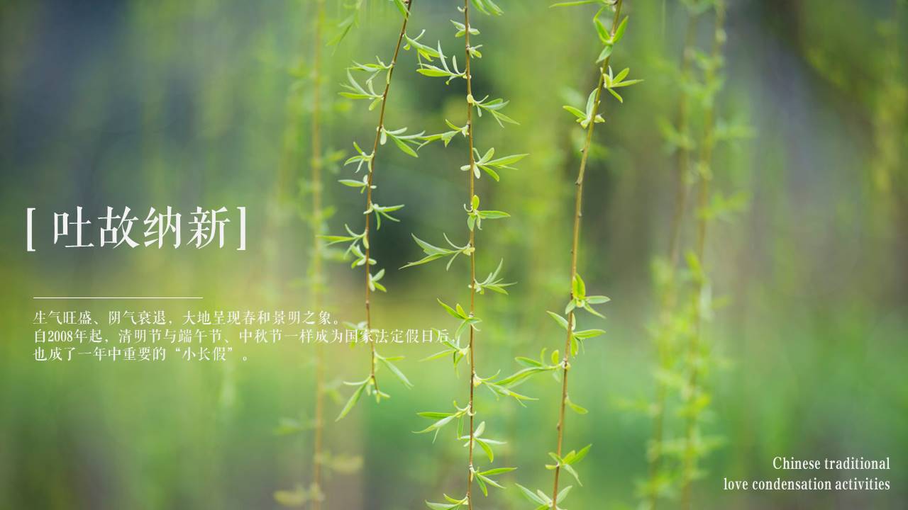2022地产项目4月清明节暖场&ldquo;境清明&middot;不负时光&rdquo;活动策划方案【清明节】 第3页