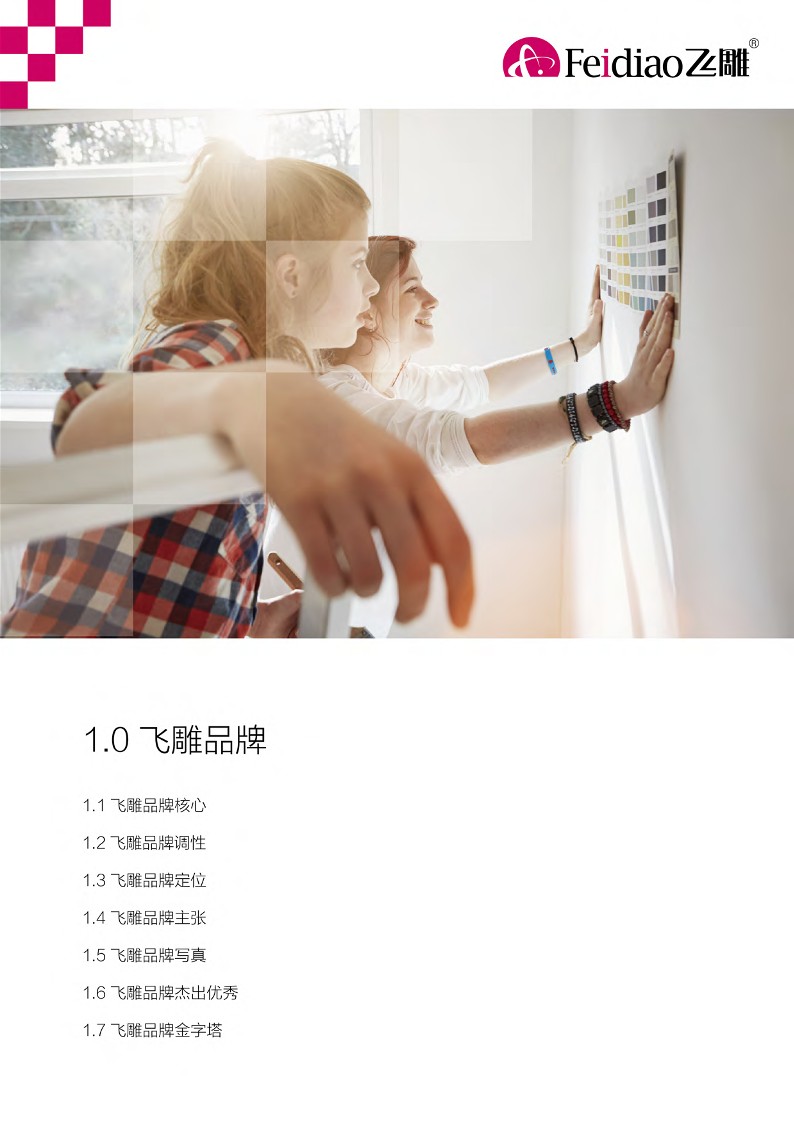 飞雕品牌手册【电器】【品牌定位】【品牌手册】【视觉】 第3页