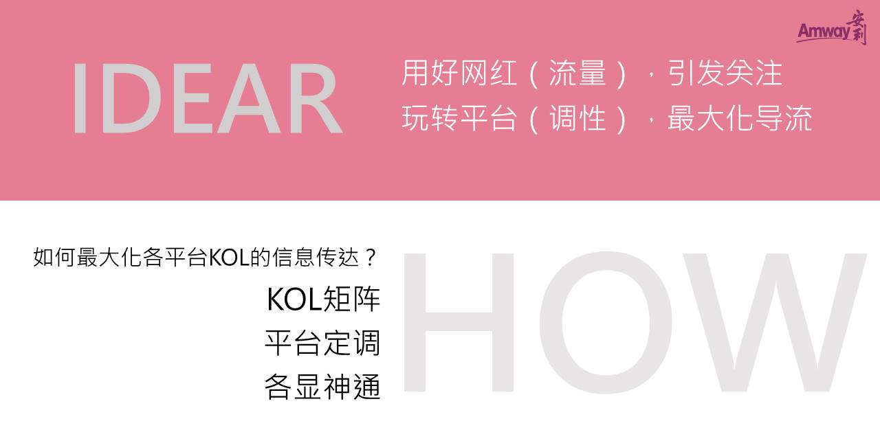 安利KOL社会化推广方案【种草带货】【KOL推广】【新媒体运营】 第3页