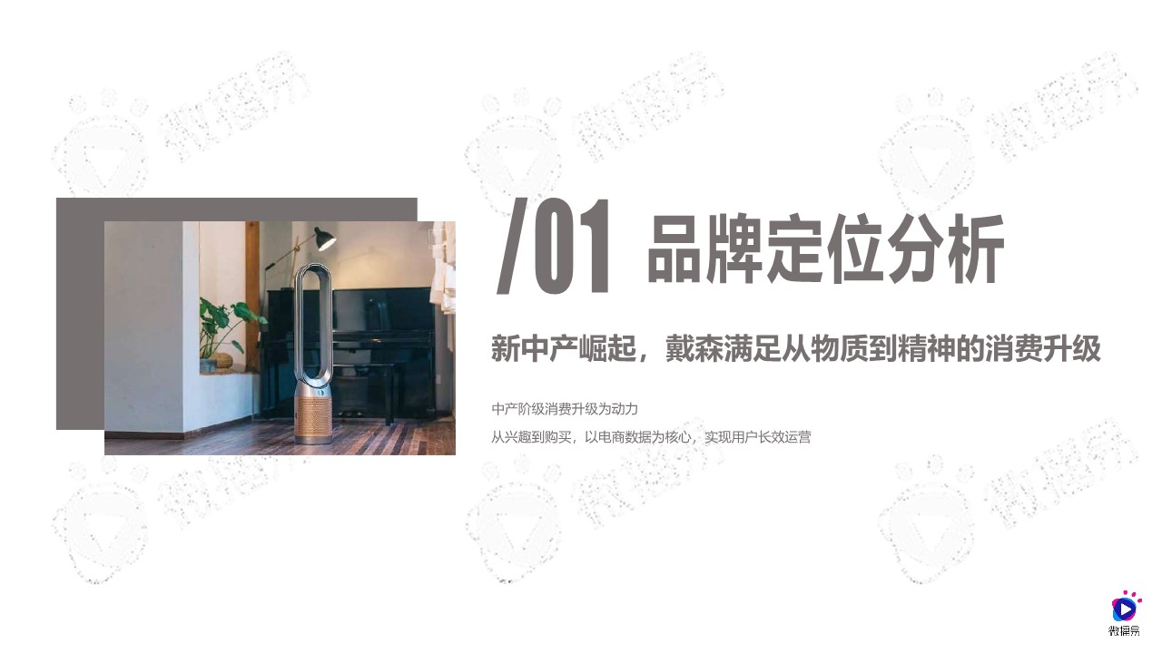 戴森品牌社媒营销分析方案【营销分析】 第2页