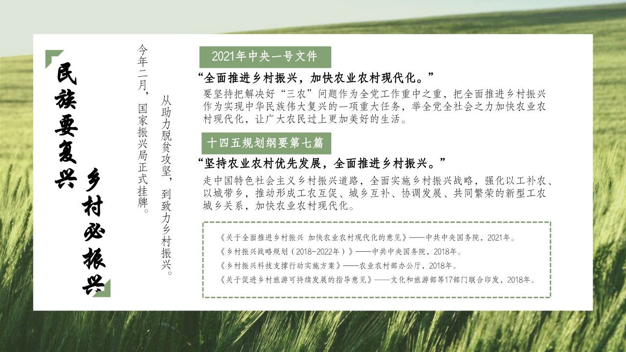 书写乡村新风貌乡村振兴策划方向 第2页