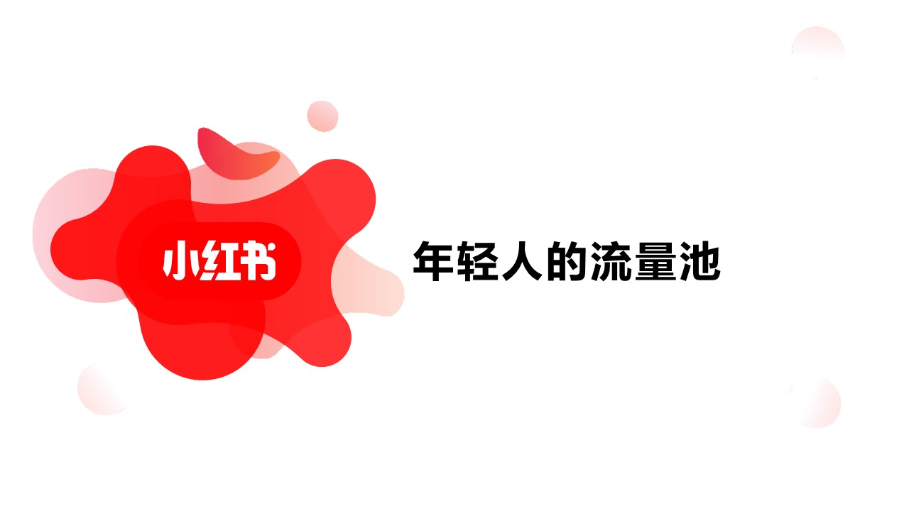 小红书竞价广告资源介绍【互联网】【通案】 第2页