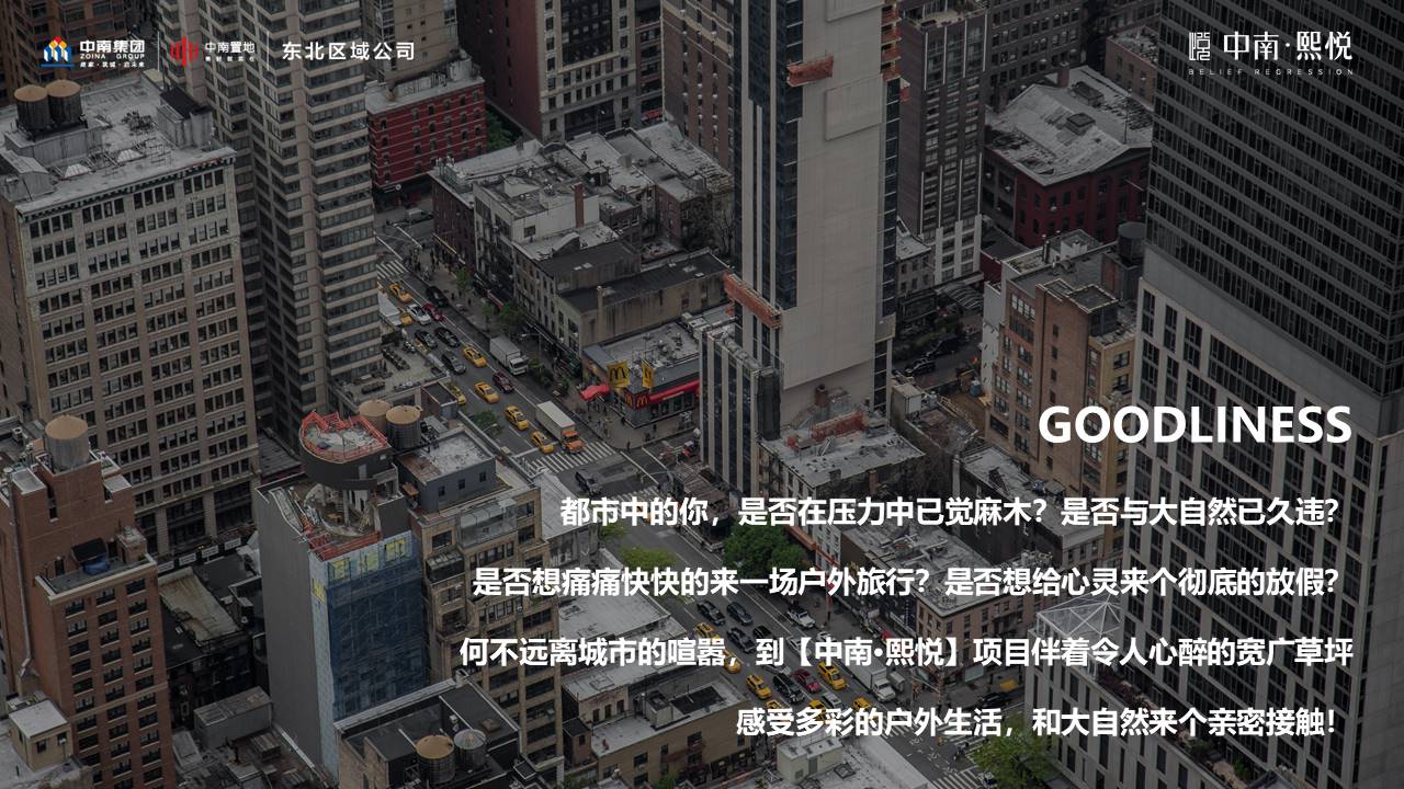 地产项目户外帐篷休闲露营嘉年华活动策划方案【露营活动】 第2页