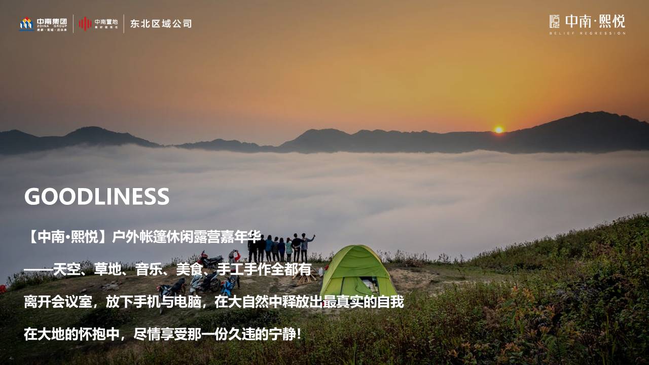 地产项目户外帐篷休闲露营嘉年华活动策划方案【露营活动】 第3页