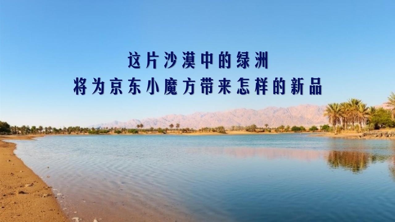 特仑苏 X 京东小魔方沙漠有机奶上市方案 第2页