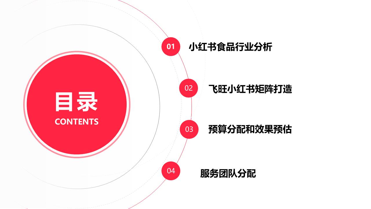 飞旺辣条小红书品牌营销方案【小红书运营】 第2页