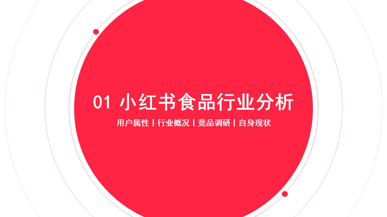 飞旺辣条小红书品牌营销方案【小红书运营】 第3页