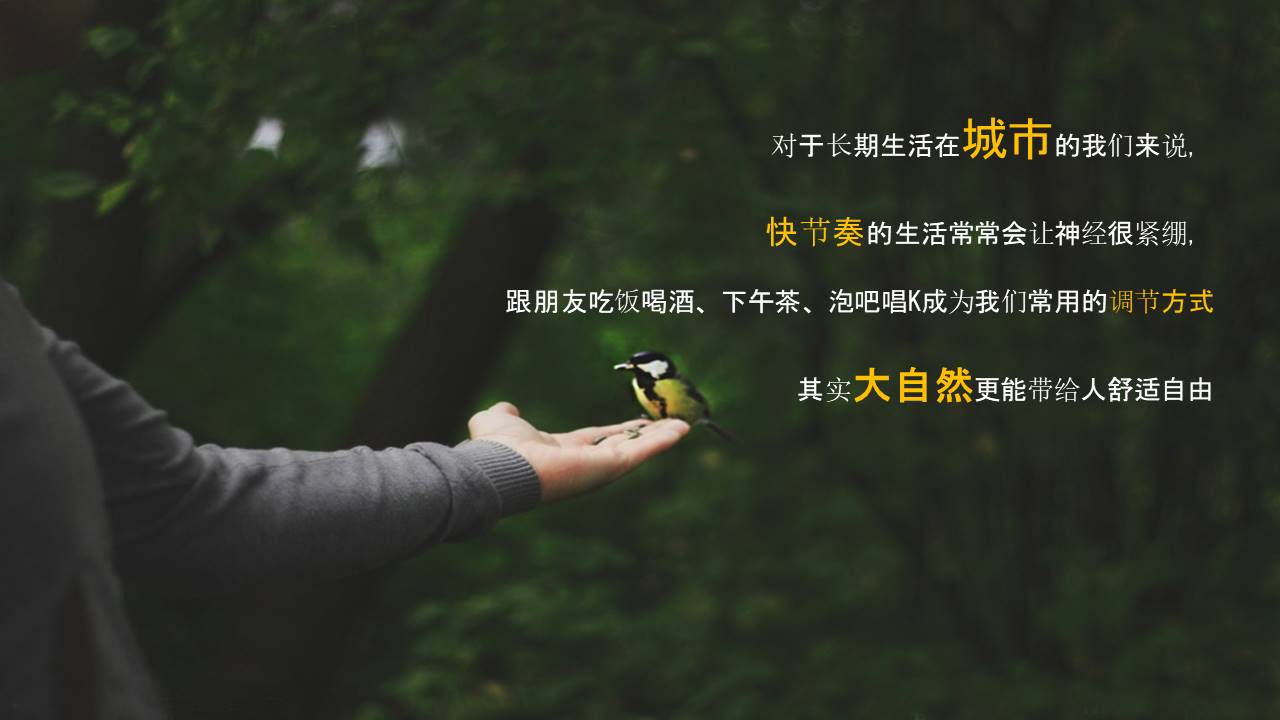 景区夏日清凉节暨首届星空帐篷音乐节活动策划案【露营】 第3页