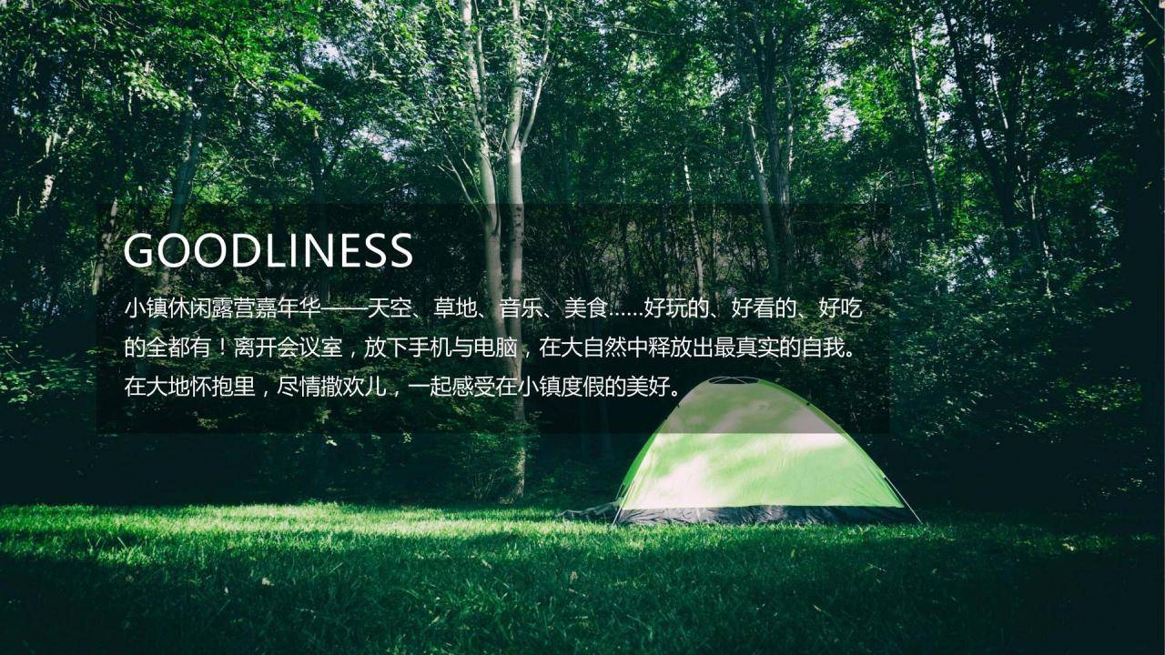 2022地产项目首届草地生活节&ldquo;露YIING一夏&rdquo;活动策划方案【户外露营】 第3页