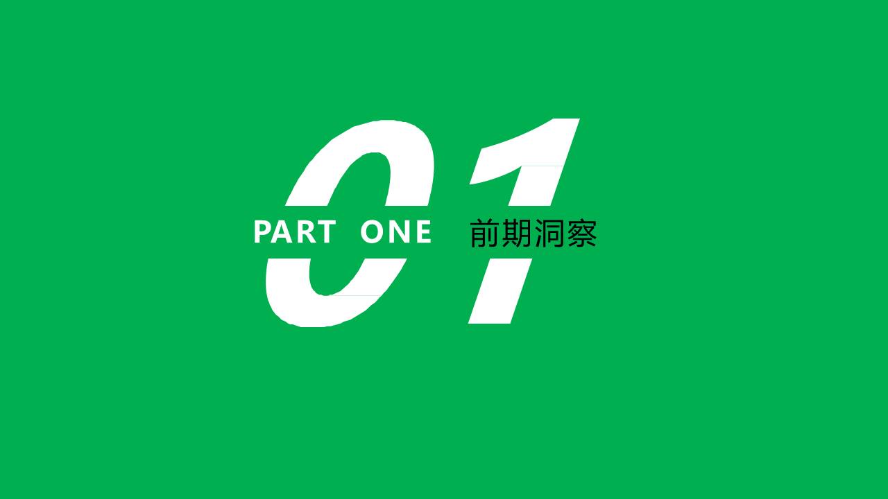 藤椒油炒饭抖音推广方案 第3页