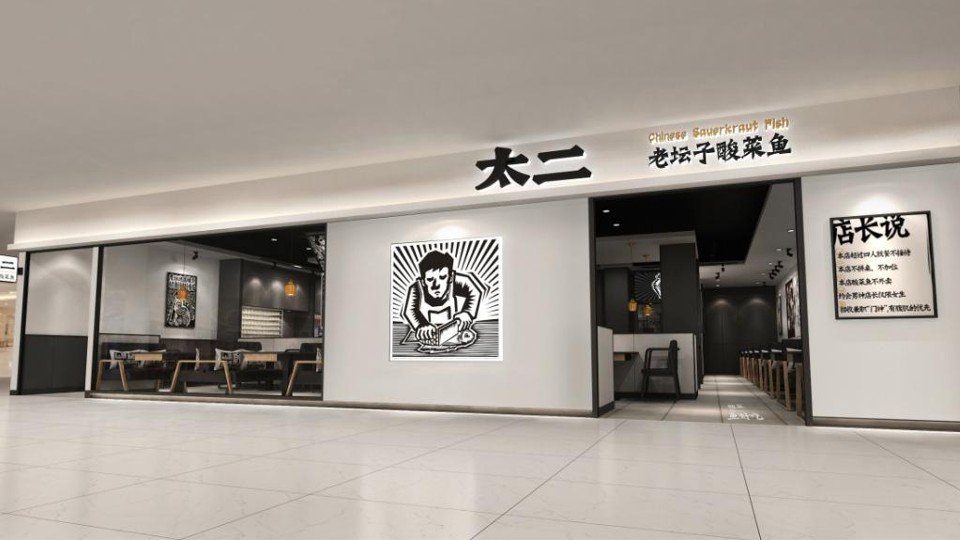 太二老坛子酸菜鱼项目手册【餐饮】【品牌定位】 第3页