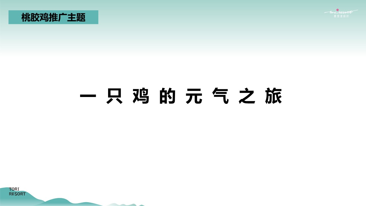 2022桃园农村-桃胶鸡故事线传播推广方案 第2页