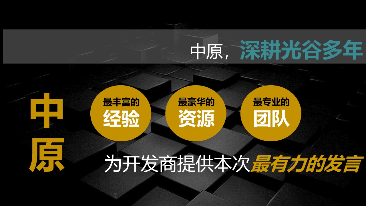 武汉美的&middot;雅居乐&middot;云筑营销策略报告【房地产】【全案】 第2页