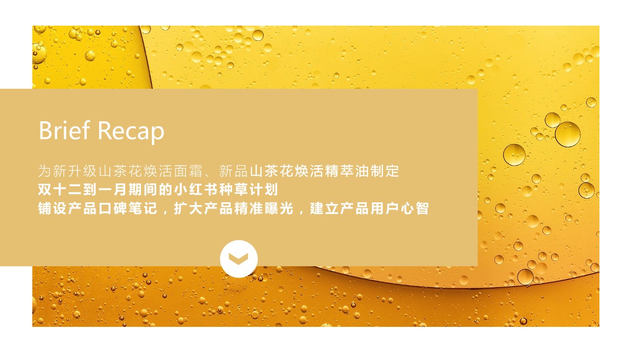 相宜本草双十二种草方案【美妆护肤】【小红书营销】 第2页