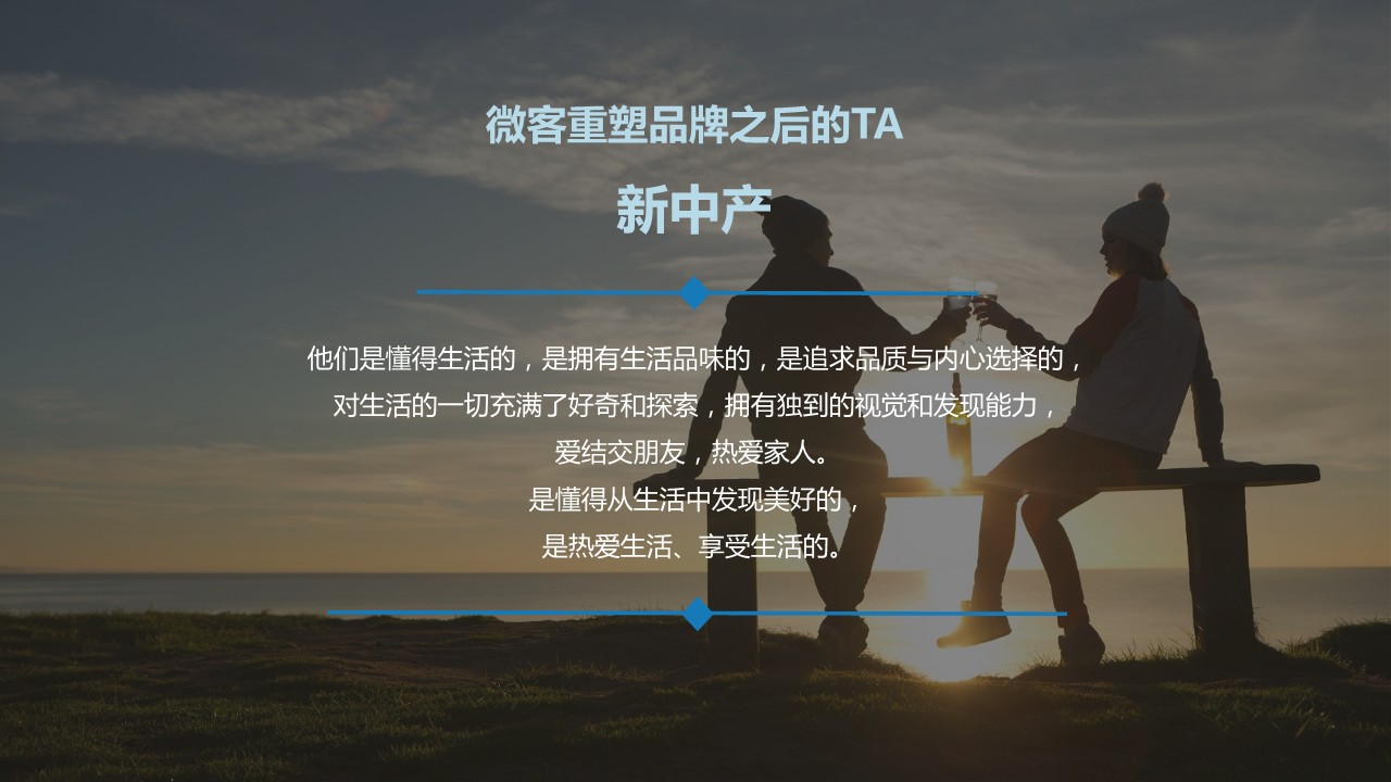 洋河微客地域瓶传播方案【白酒】【品牌传播】 第3页