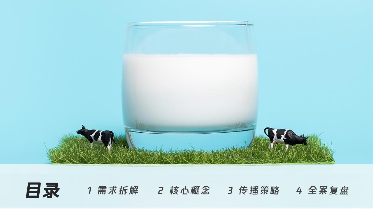 24小时铂金牛奶线上传播策划案 第2页